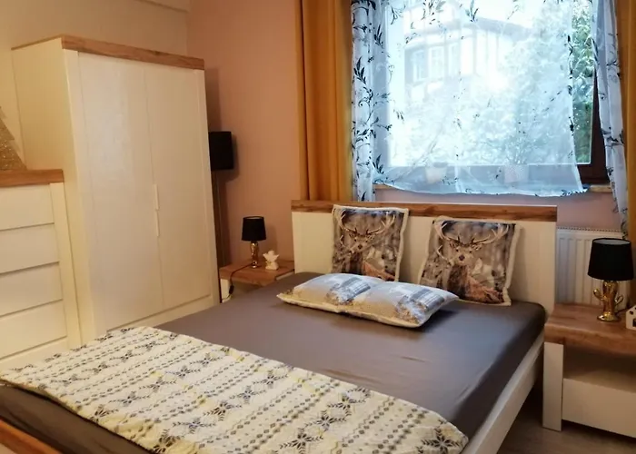 Domek Zielona Oaza